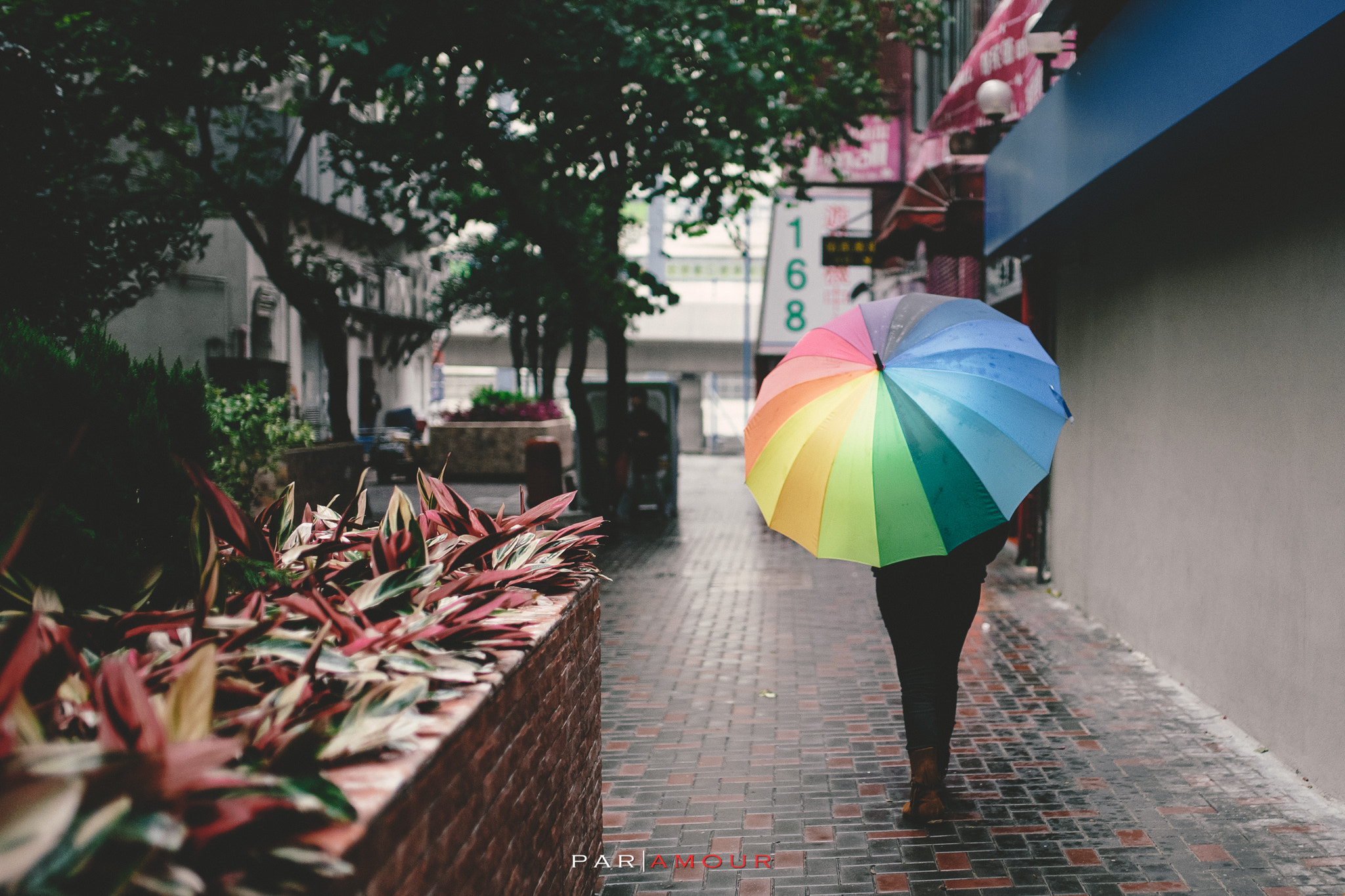 Sony a99 II + 35mm F1.4 sample photo. 168 rainbow street photography