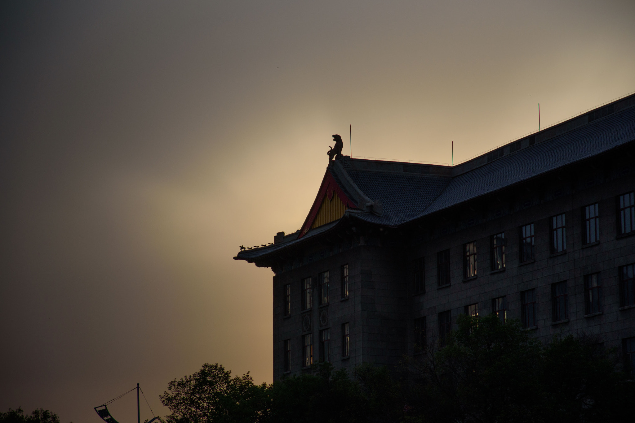 AF Zoom-Nikkor 24-120mm f/3.5-5.6D IF sample photo