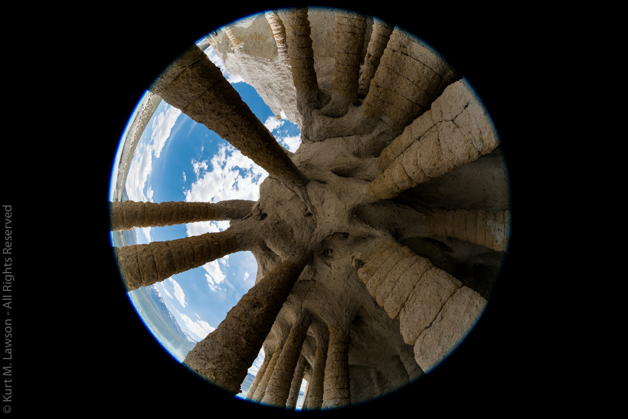 Sony a7R II + Canon EF 8-15mm F4L Fisheye USM sample photo. Columnar world photography