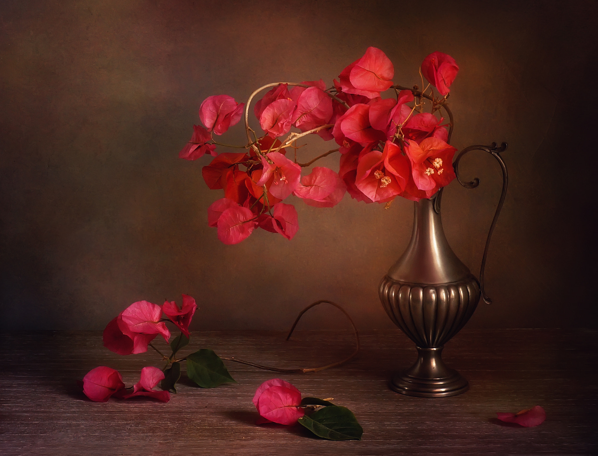 Sony DT 35mm F1.8 SAM sample photo. Бугенвиллия photography