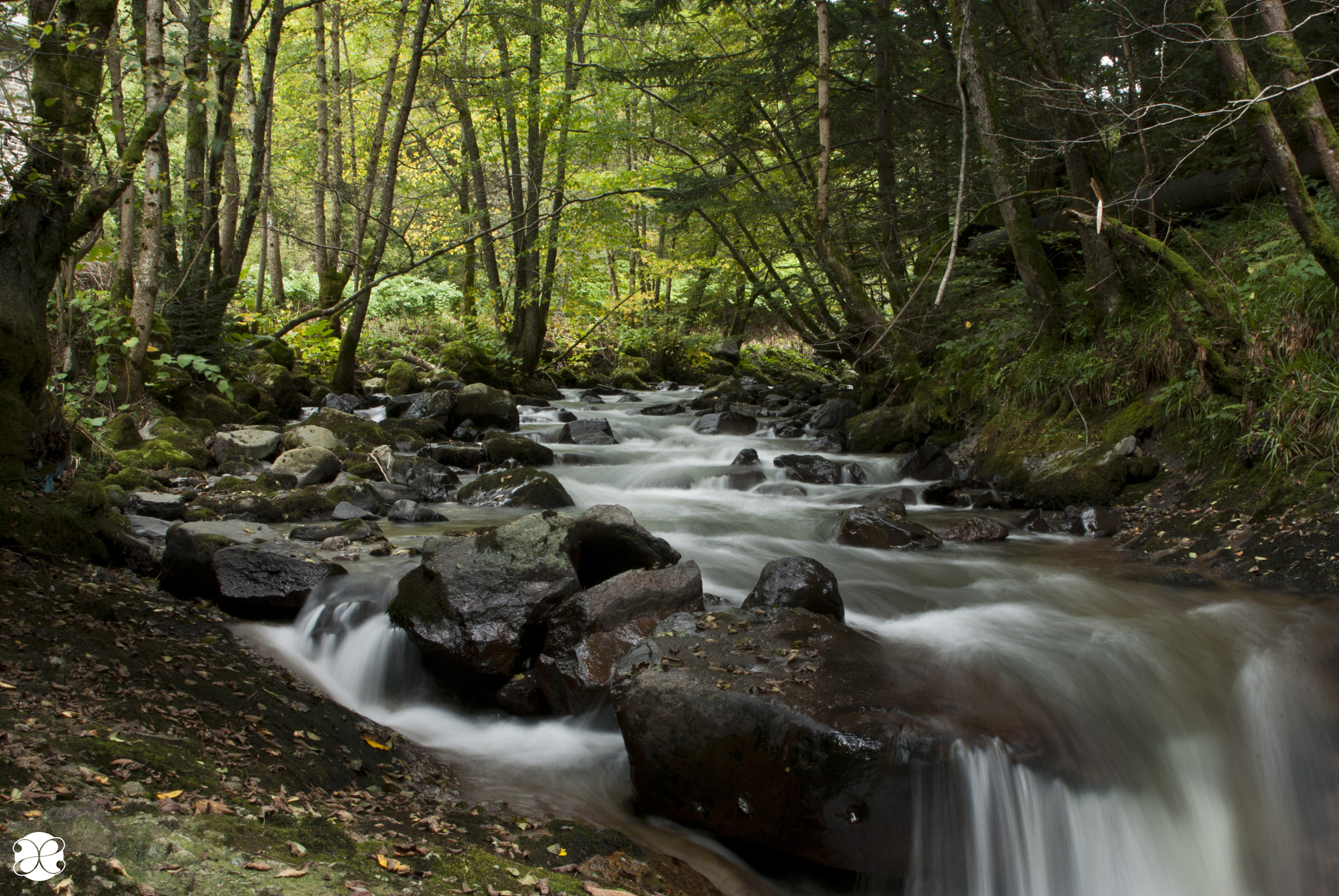 Pentax K200D sample photo. Massif central photography