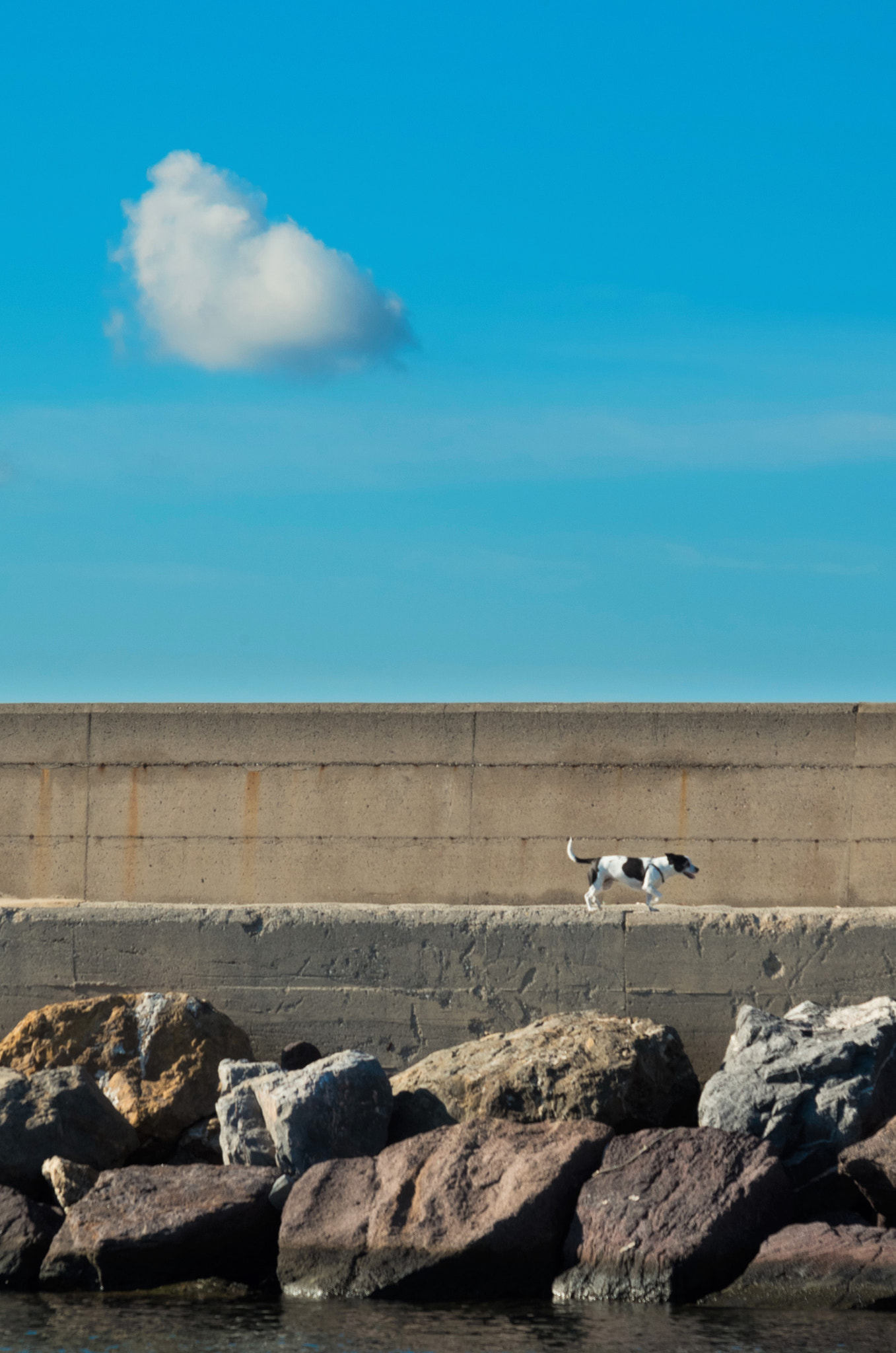 Pentax K-30 + smc PENTAX-F 35-105mm F4-5.6 sample photo. Lonely dog and lonely cloud photography