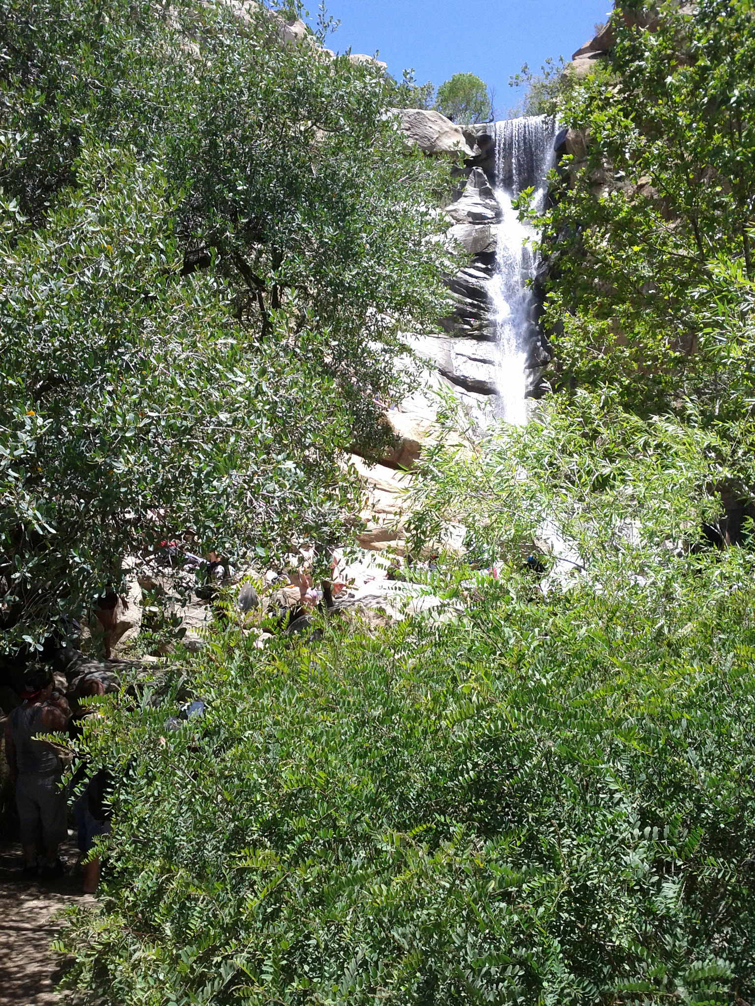 Google Nexus S sample photo. Tsu ns photography
