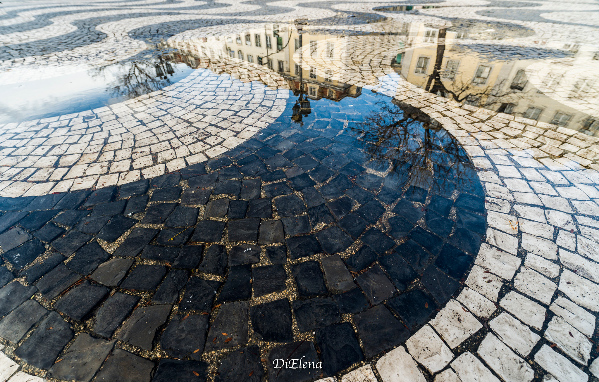 Nikon D4S sample photo. Lisbon   photography