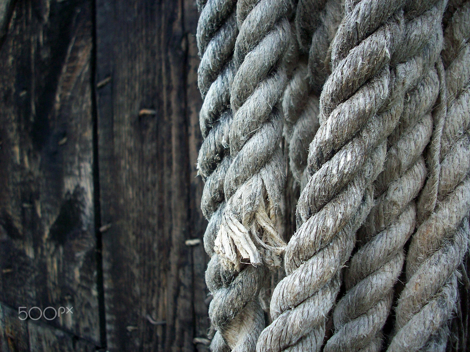 Kodak EASYSHARE M753 ZOOM DIGITAL CAMERA sample photo. Ropes photography