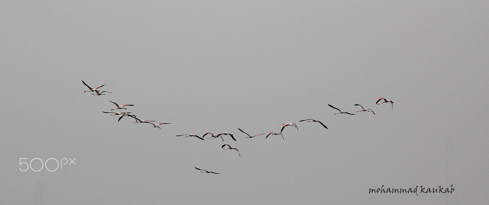 Sigma 150-600mm F5-6.3 DG OS HSM | C sample photo. Necklace photography