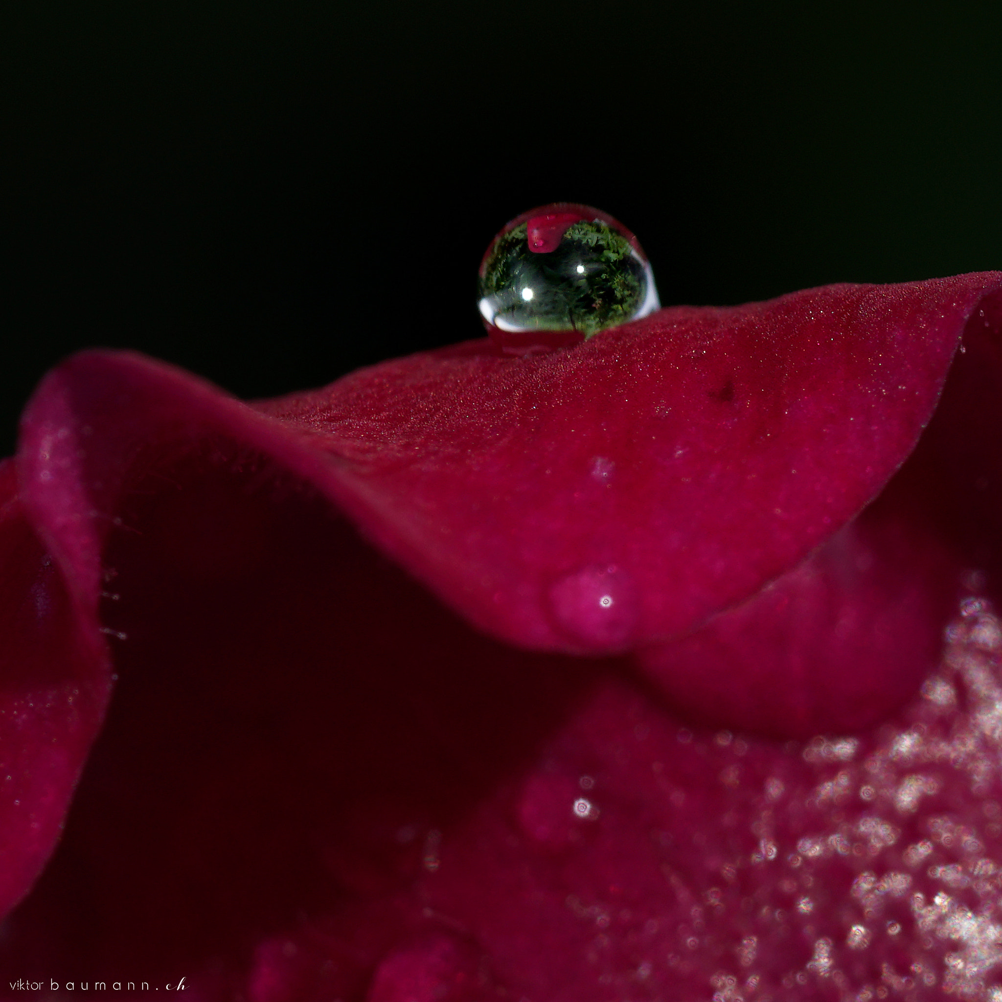 Sony a6300 + Sony FE 90mm F2.8 Macro G OSS sample photo. Water drop photography