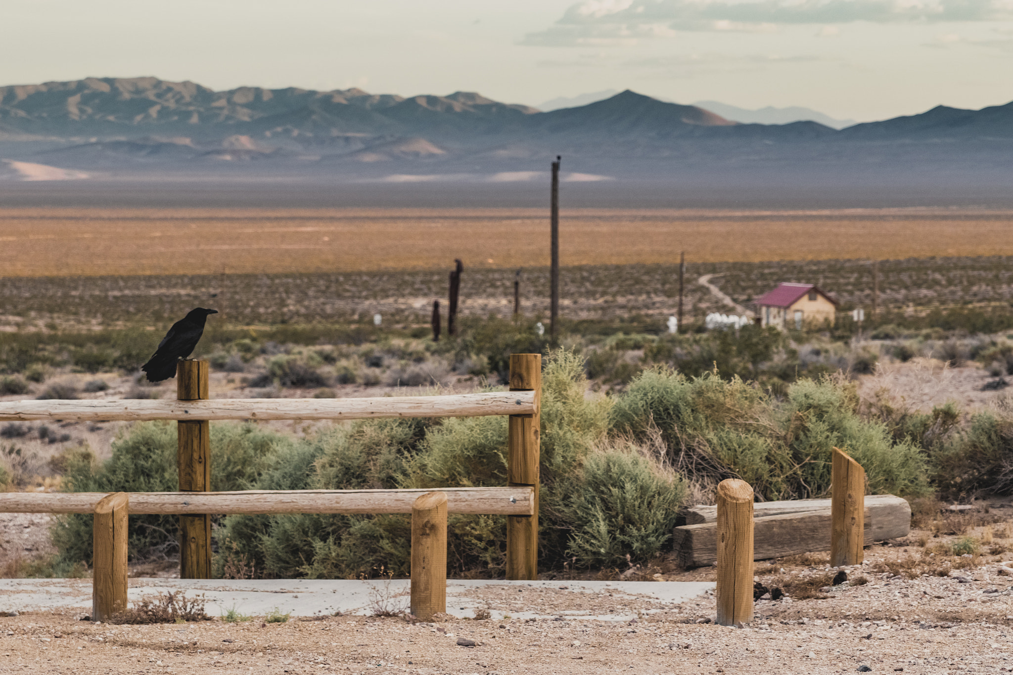 Canon EF 400mm f/2.8L sample photo. As the crow flies photography
