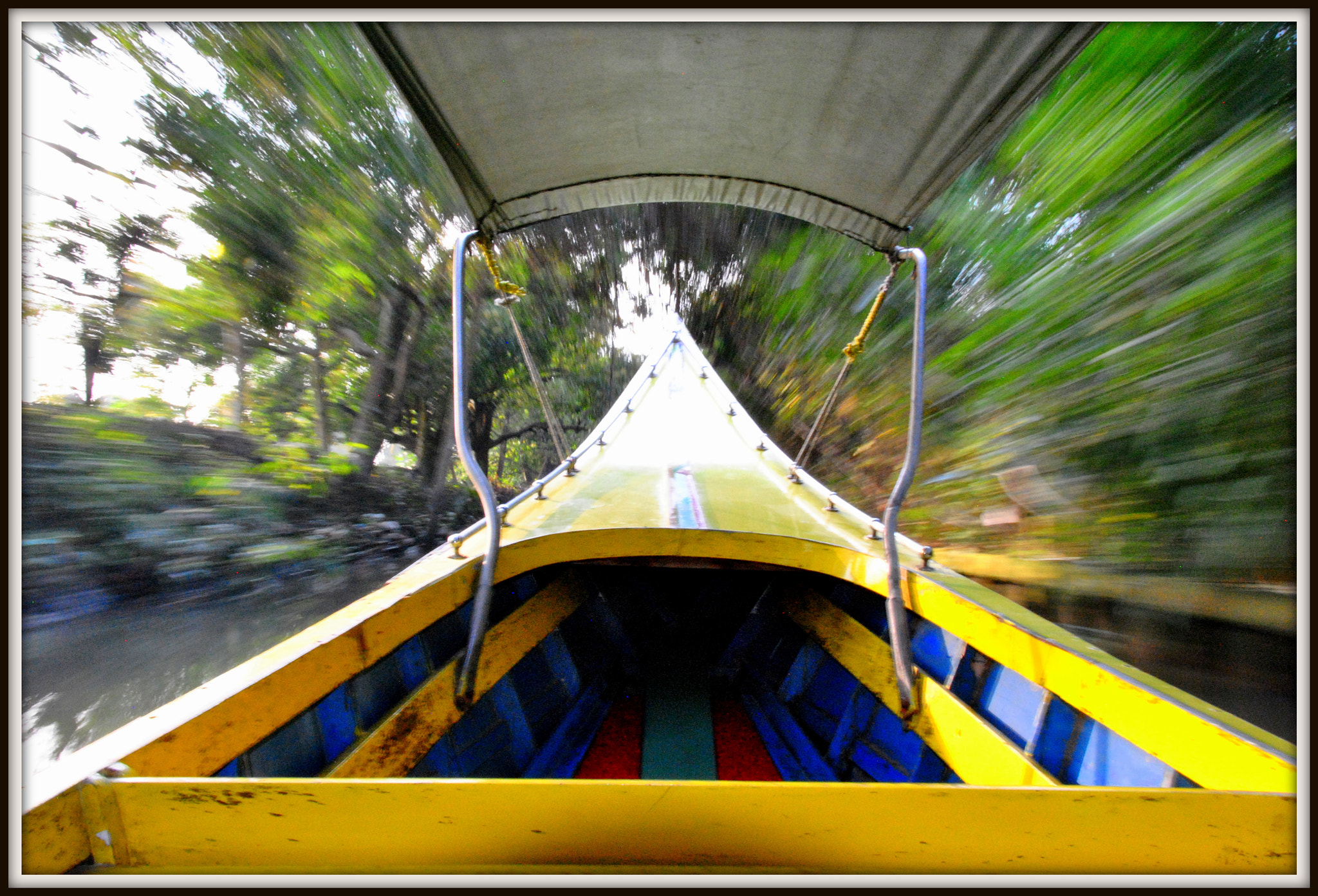 Nikon D3000 sample photo. Wheeeee photography