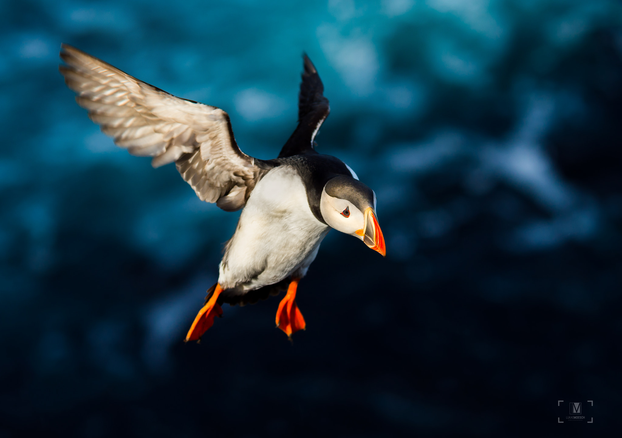 Nikon D4S sample photo. Landing in sight... photography