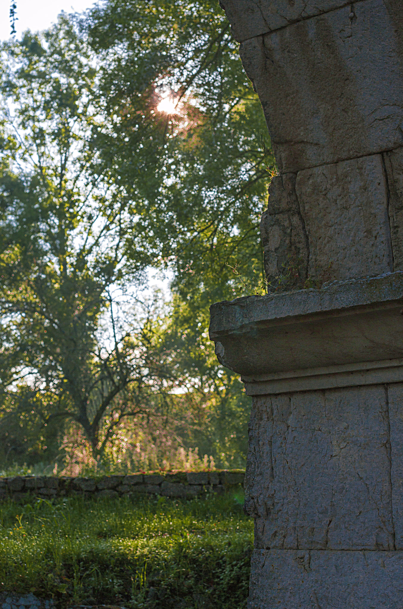 Sigma 50mm F1.4 EX DG HSM sample photo. Altilia - sepino (cb) photography