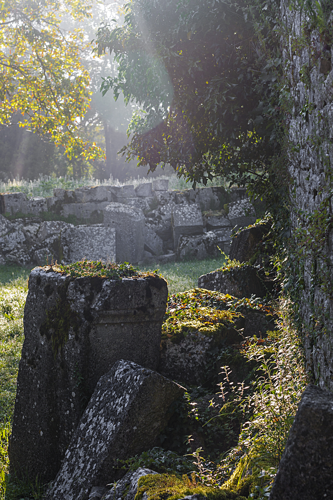 Sigma 50mm F1.4 EX DG HSM sample photo. Altilia - sepino (cb) photography