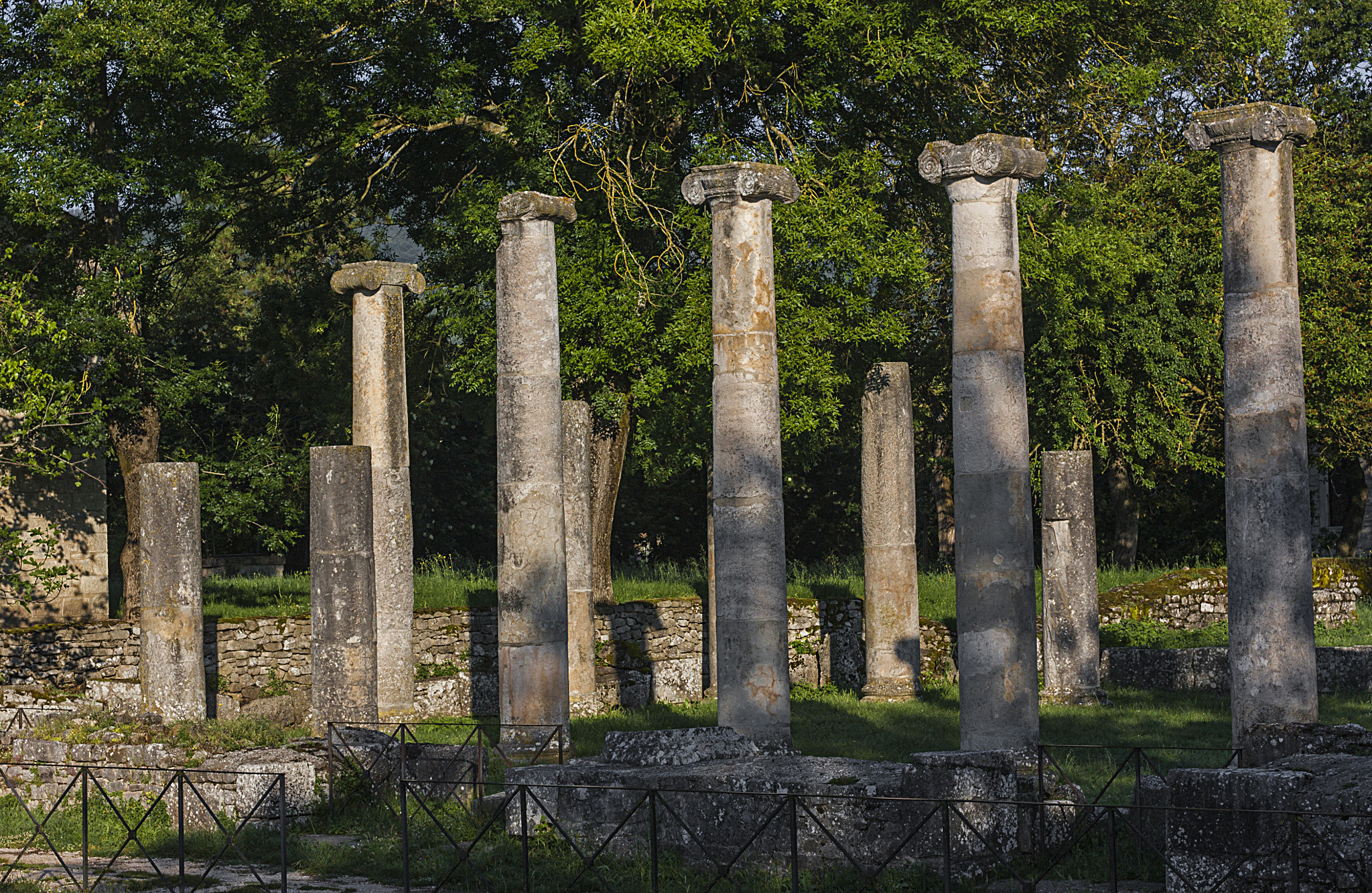 Sigma 50mm F1.4 EX DG HSM sample photo. Altilia - sepino (cb) photography