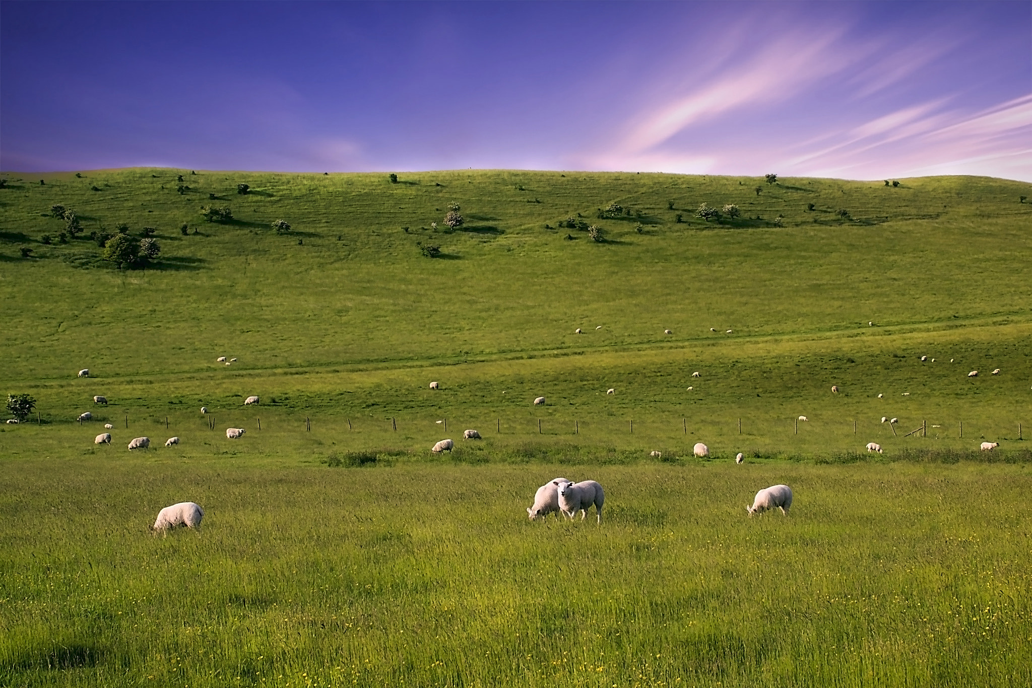 Sigma 30mm F2.8 DN Art sample photo. Landscape photography