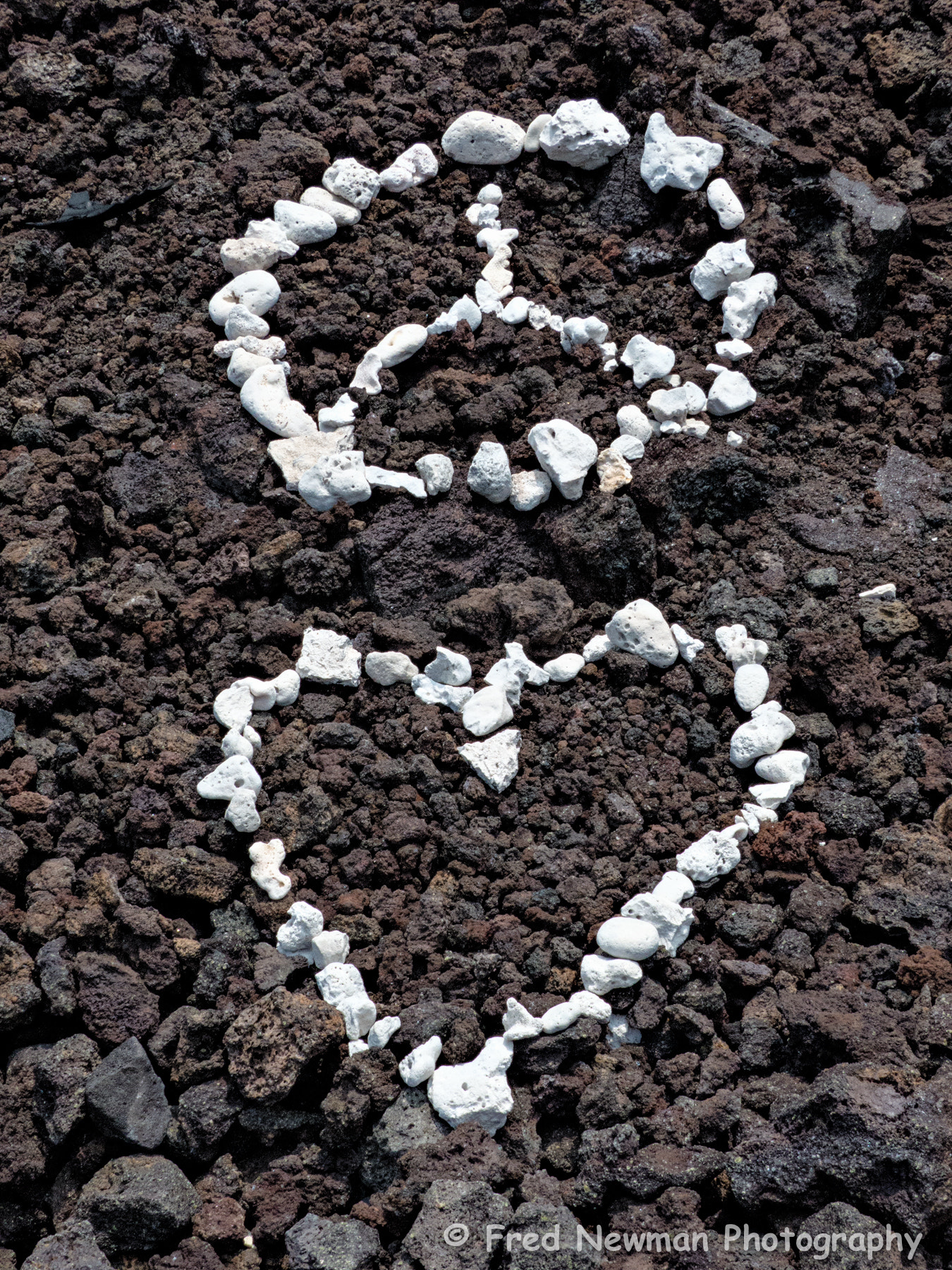 Leica V-Lux 4 sample photo. Peace and love photography