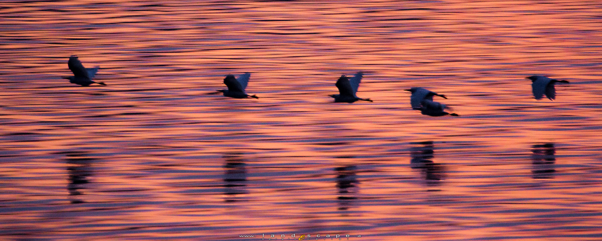 Canon EF 100-400mm F4.5-5.6L IS USM sample photo. ***in volo libero*** photography