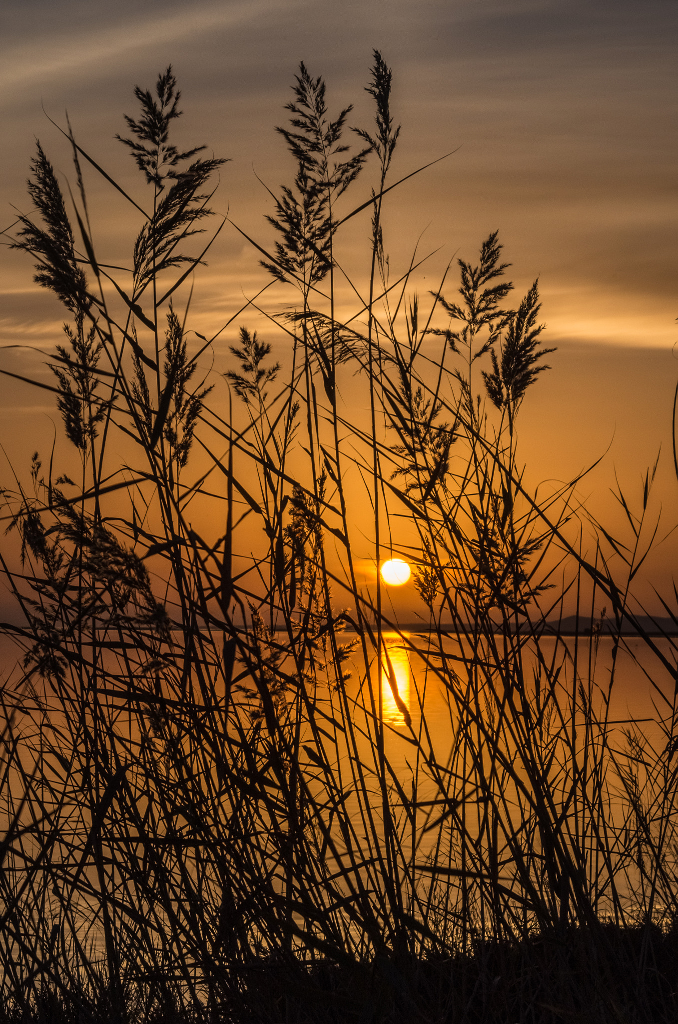 Pentax K-30 + smc PENTAX-F 35-105mm F4-5.6 sample photo. Magic sunset at the lagoon, beautiful colors for a photography