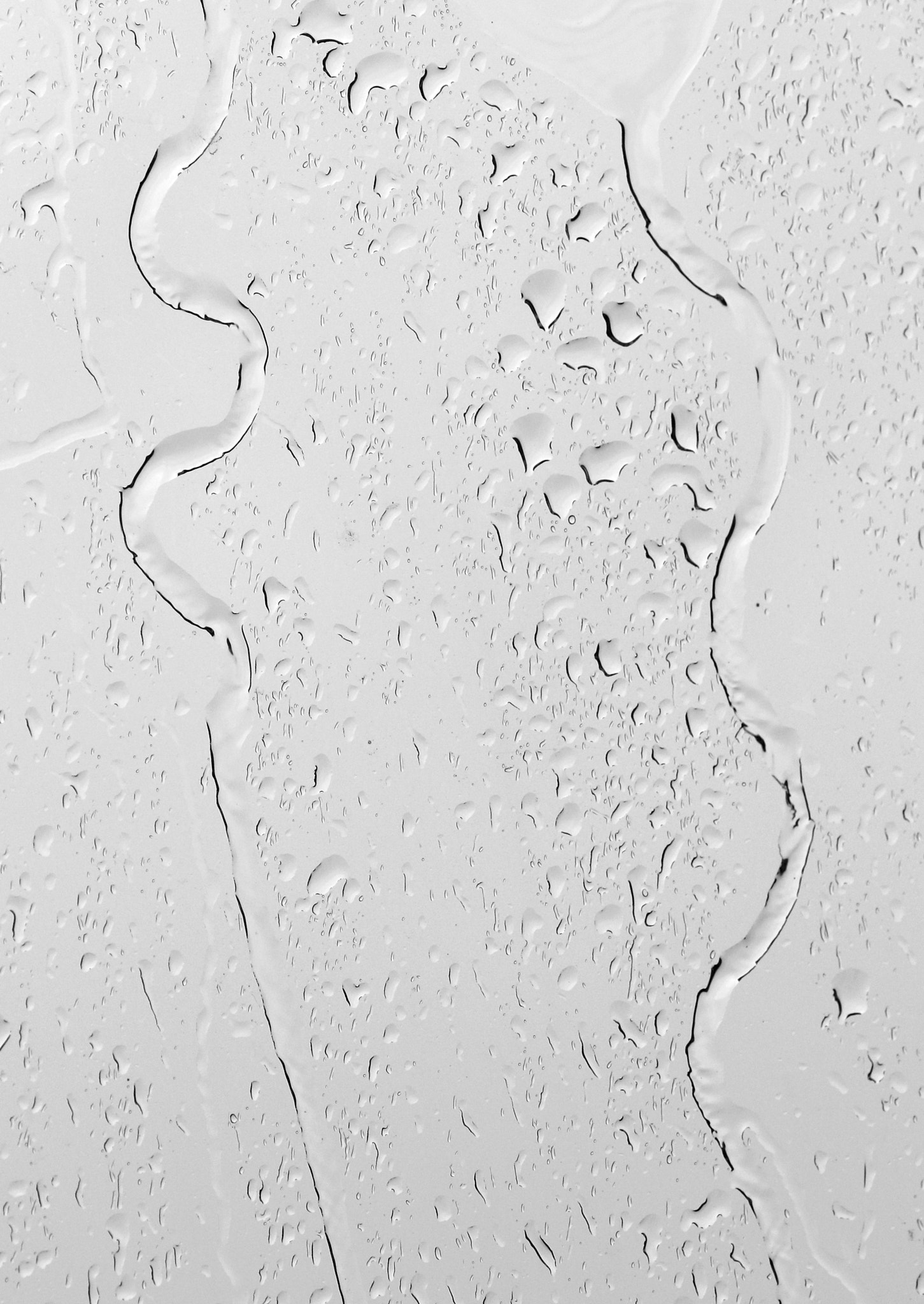 Canon 90mm sample photo. After  the   rain photography