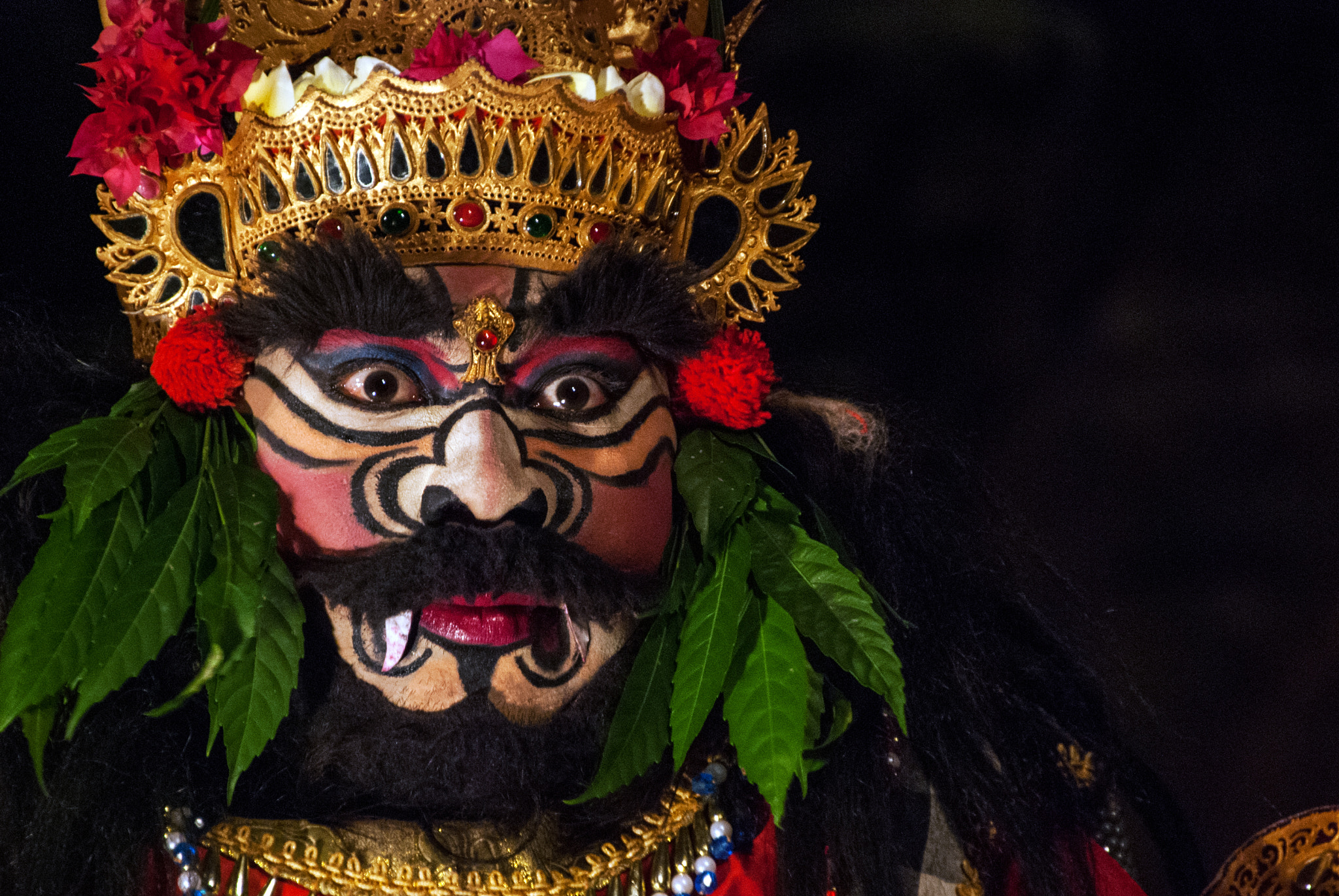 Nikon D40X sample photo. Traditional dancer photography
