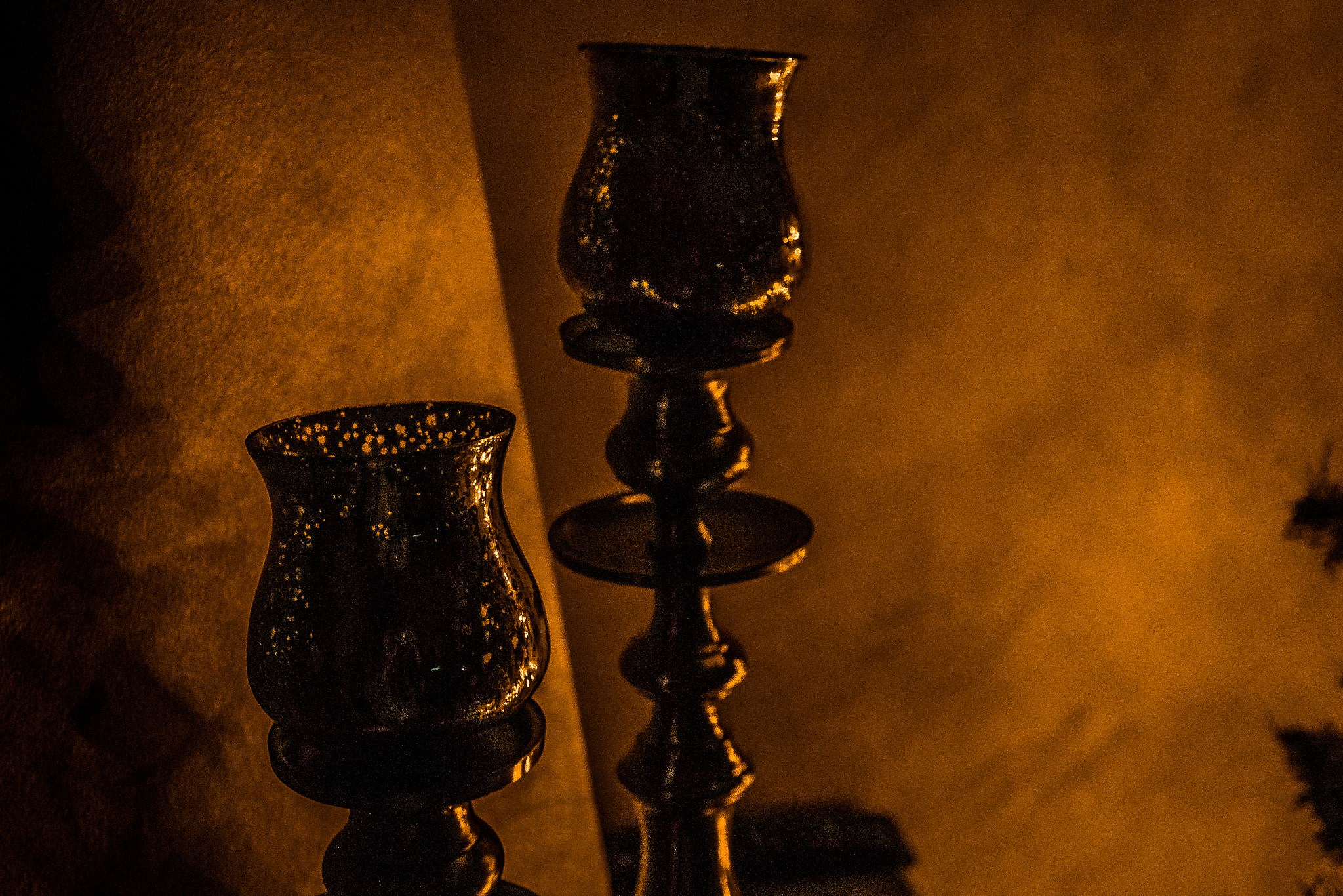 Samsung NX300M sample photo. The golden twins photography