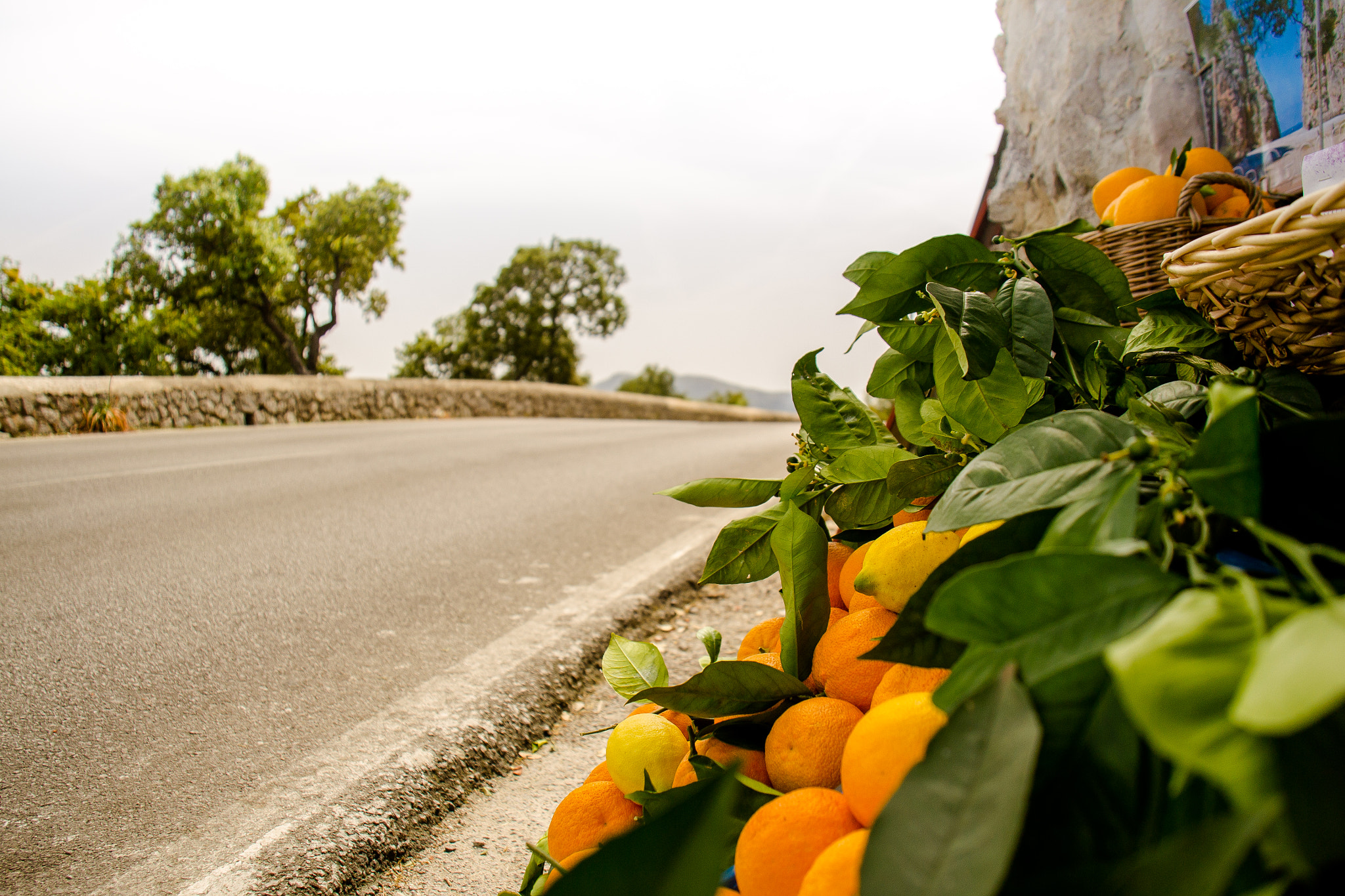 Nikon D3100 sample photo. Fruity photography