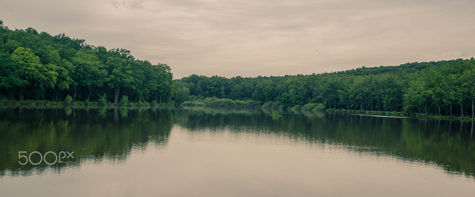 Nikon D7000 + AF Nikkor 24mm f/2.8 sample photo. Pure nature photography