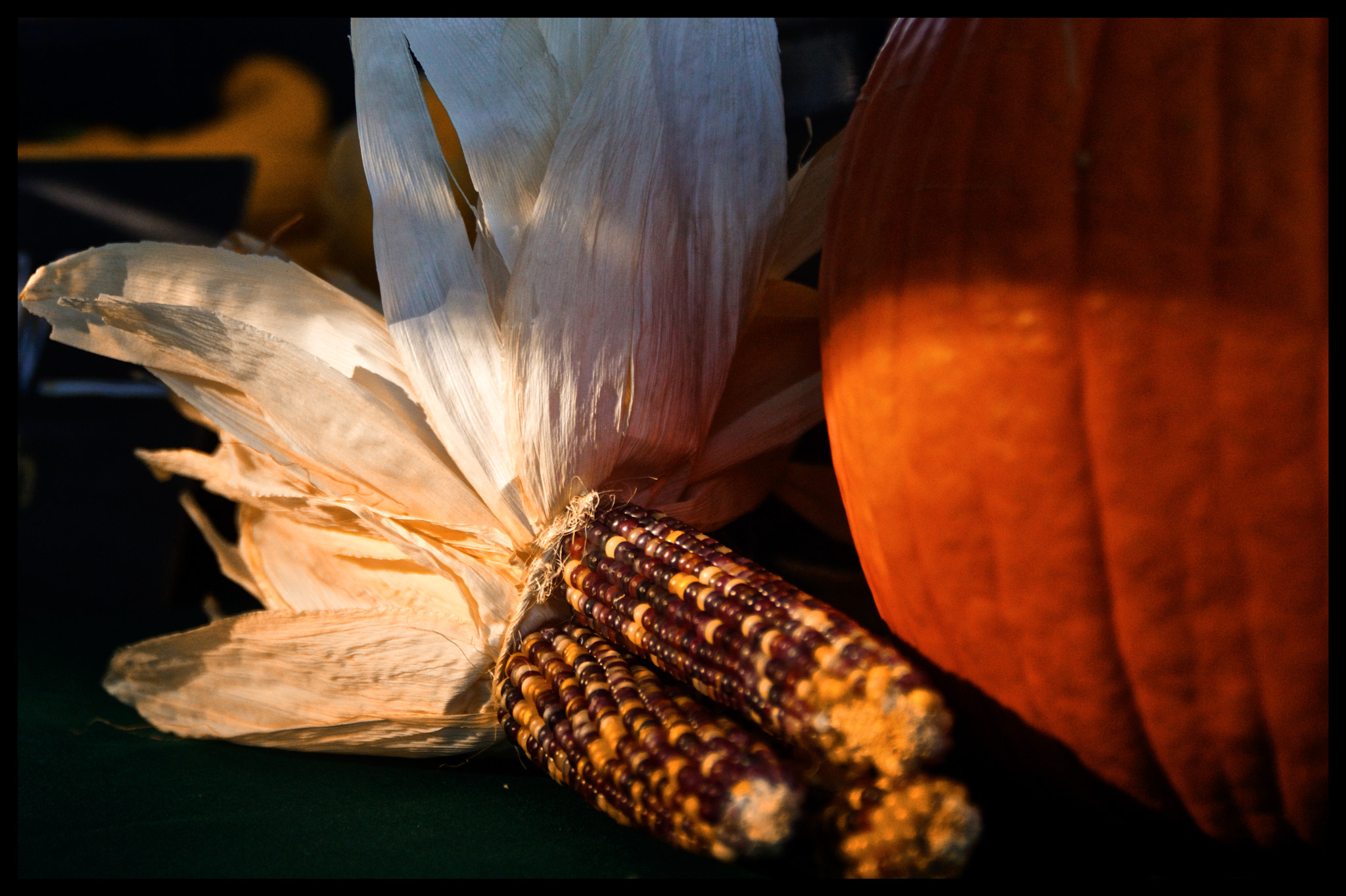 Sony SLT-A77 + Sigma 17-70mm F2.8-4.5 (D) sample photo. Fall stil life photography