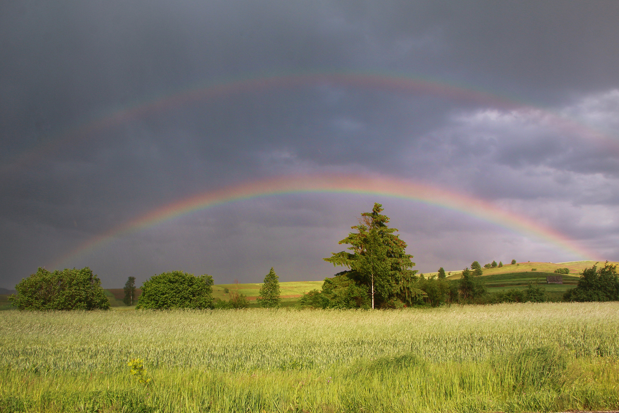 Sigma 18-125mm F3.8-5.6 DC OS HSM sample photo. Rainbow photography
