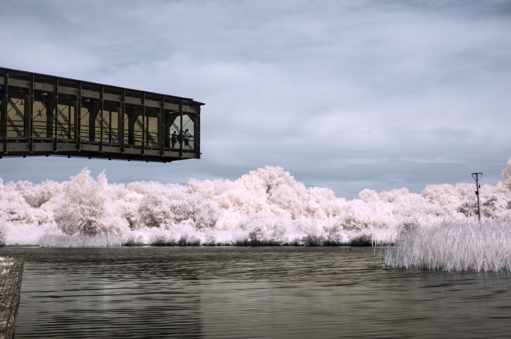 Nikon D50 sample photo. Ir salburua photography