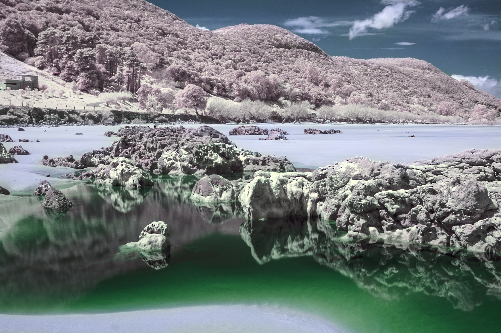 Nikon D50 sample photo. Ir reflejos en verde photography