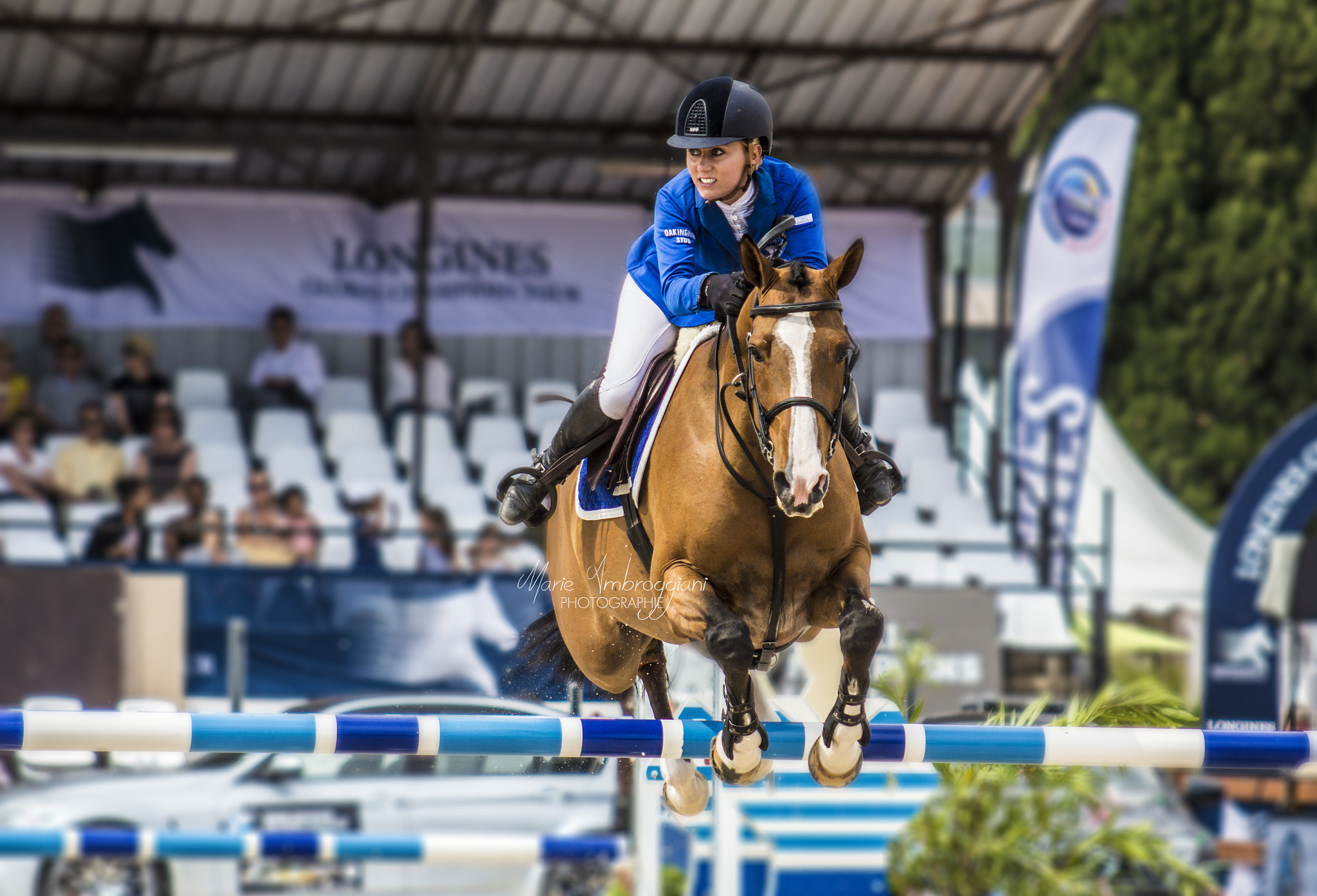 Canon EF 100-300mm F4.5-5.6 USM sample photo. Jumping de cannes photography