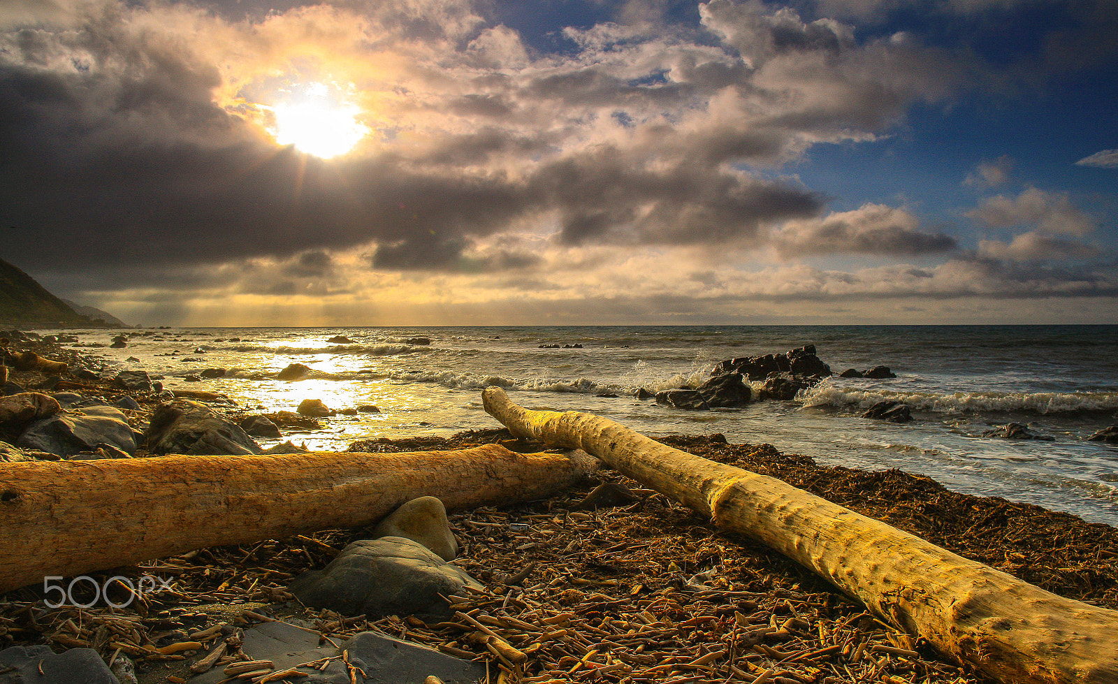 Canon EF 24mm F1.4L II USM sample photo. Sun kissed beach logs photography