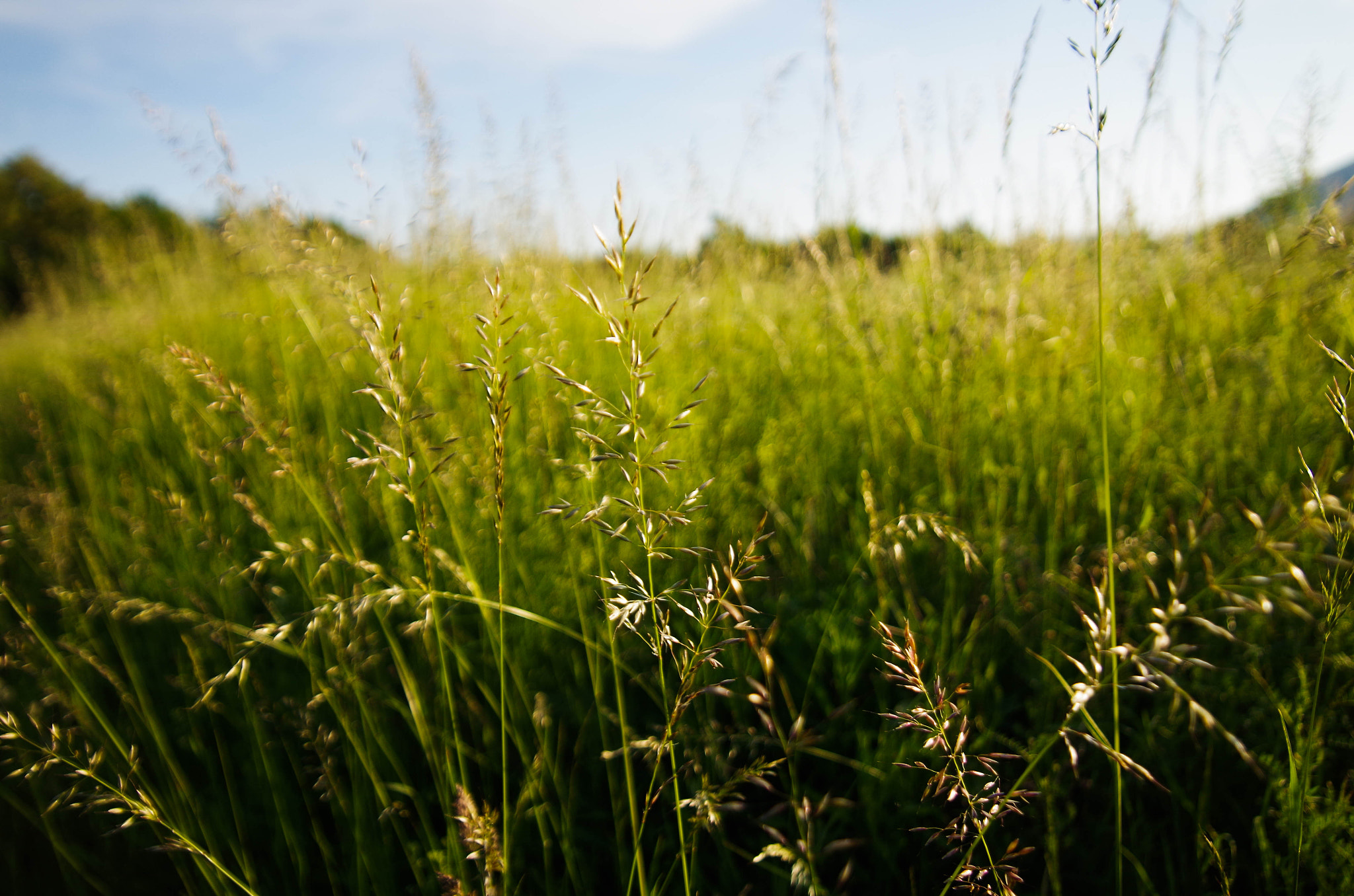 Sigma AF 10-20mm F4-5.6 EX DC sample photo. There are good days and bad days photography