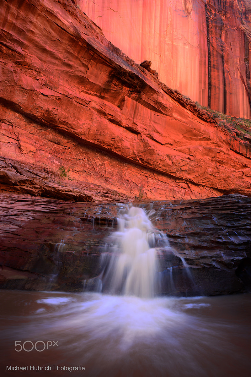 Nikon D800 + AF Nikkor 28mm f/2.8 sample photo. Desert fall photography