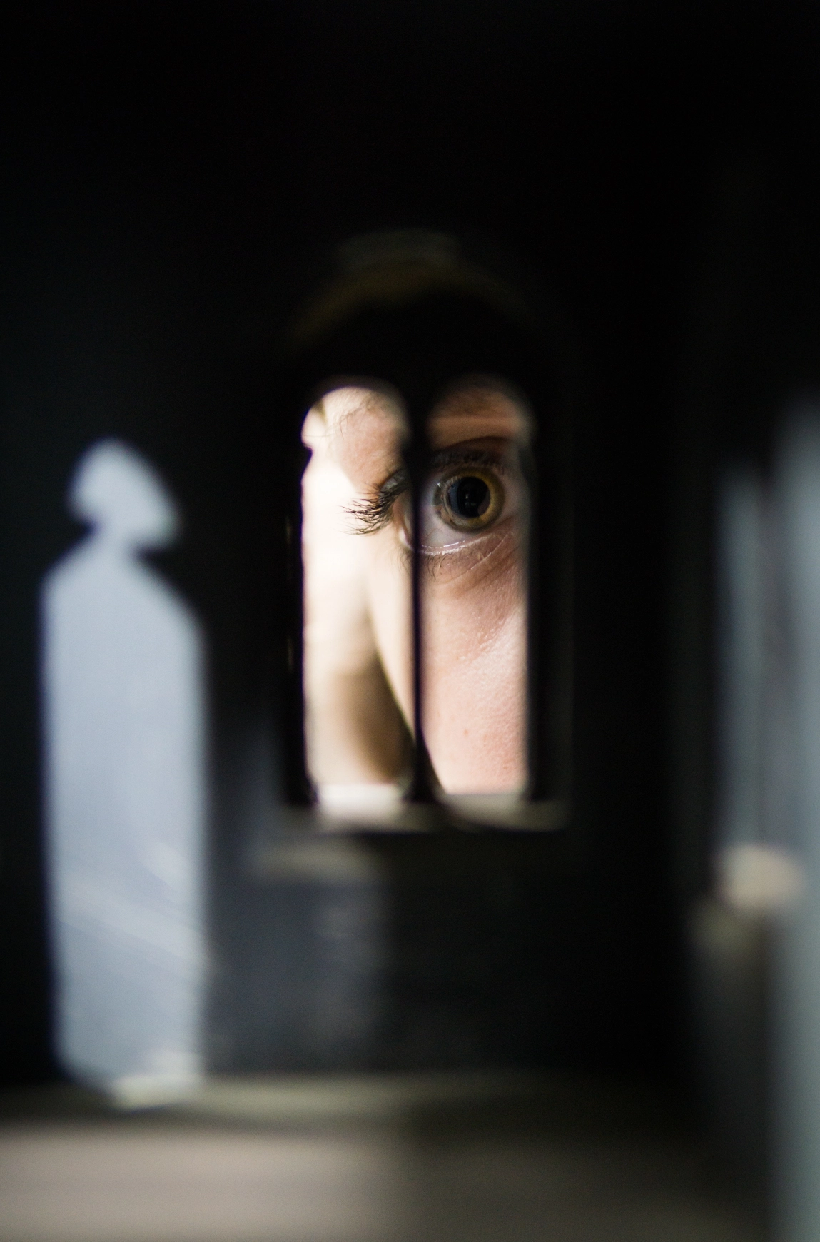 Sony a5100 sample photo. Peeking giant photography
