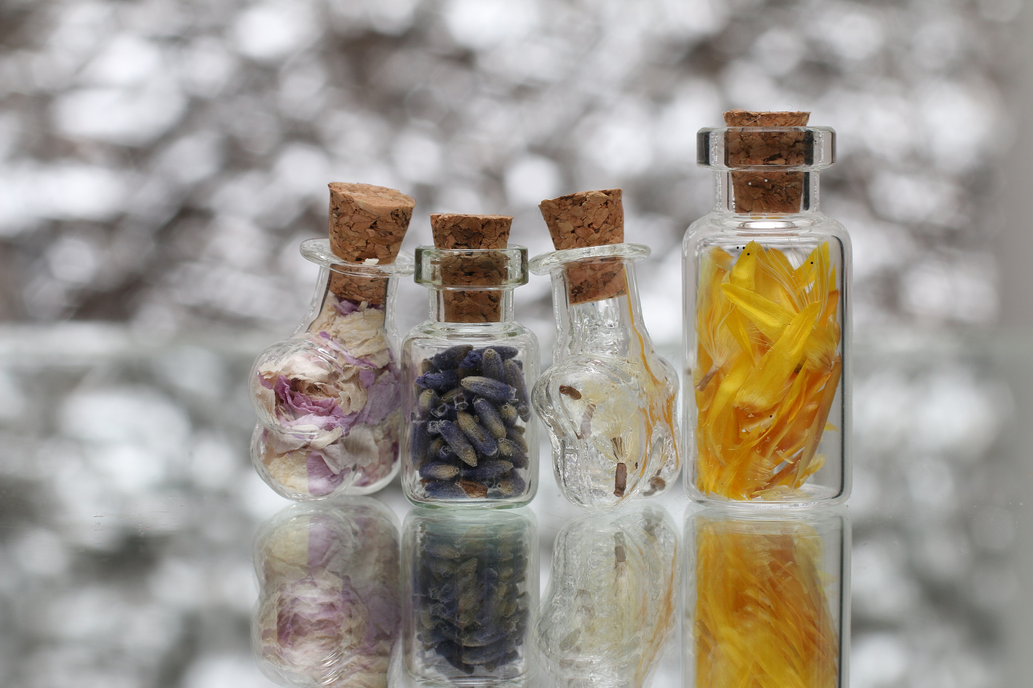 Canon EOS 70D + Canon EF 50mm F2.5 Macro sample photo. Natural fortune photography