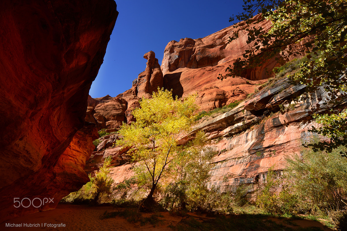 Sigma 12-24mm F4.5-5.6 EX DG Aspherical HSM sample photo. Coyote light photography