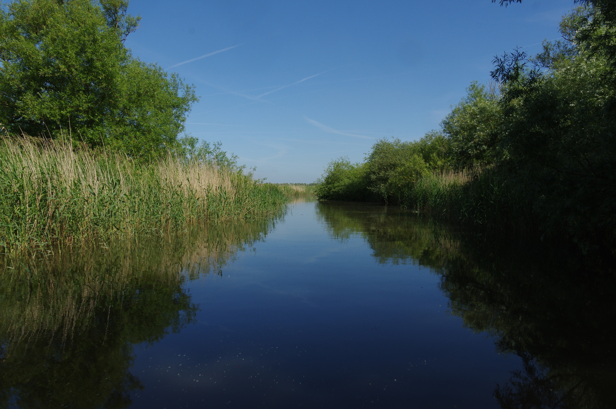 Pentax K-3 sample photo. Biesbosch photography