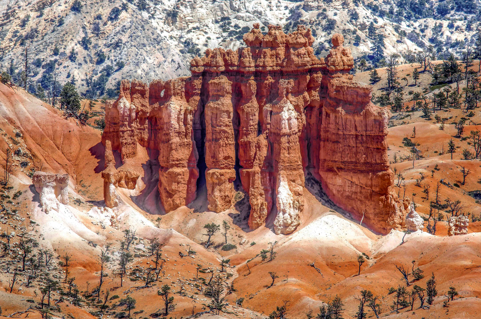 Sigma 150-500mm F5-6.3 DG OS HSM sample photo. Sand castle photography