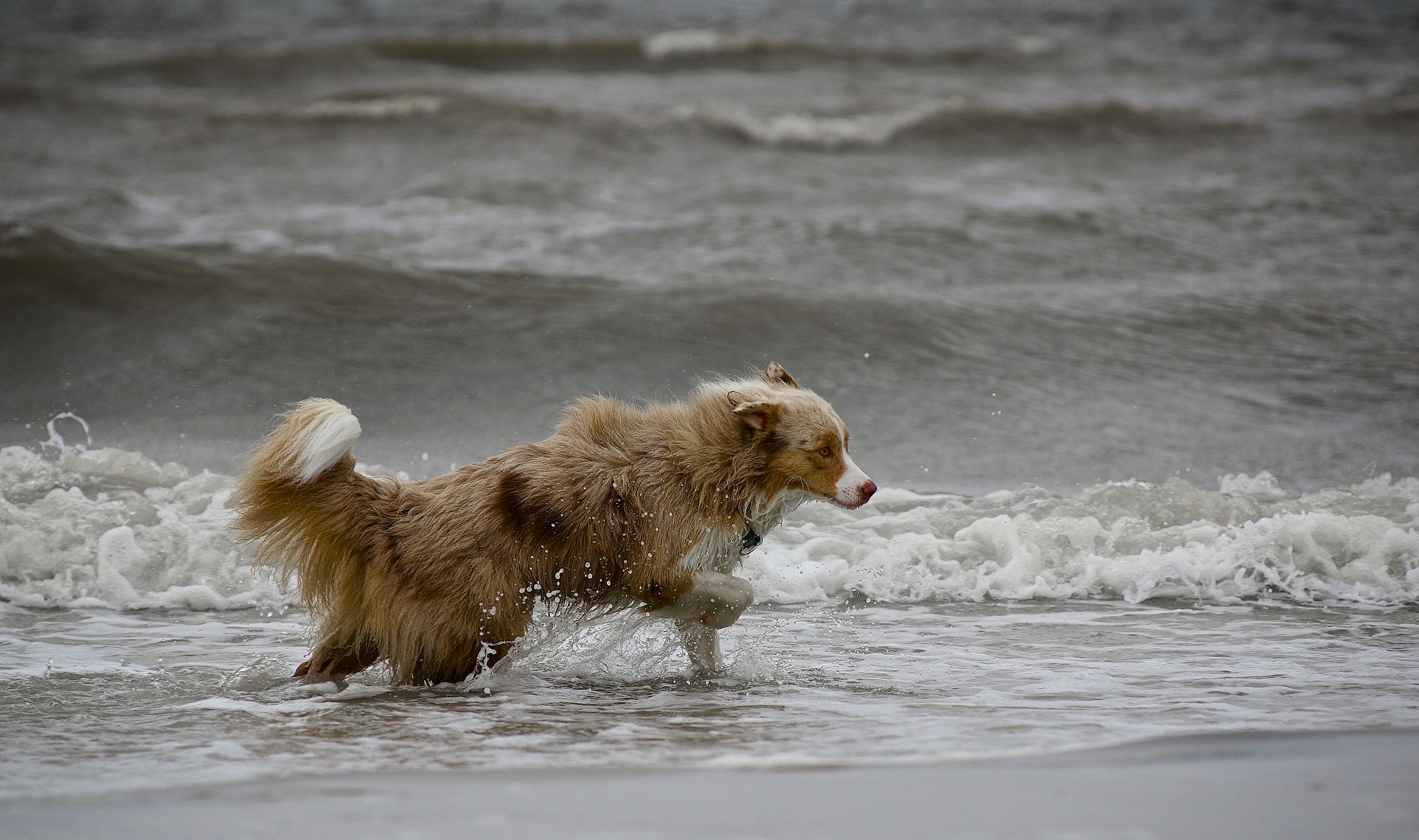 Pentax K-3 II sample photo. Into the ocean photography