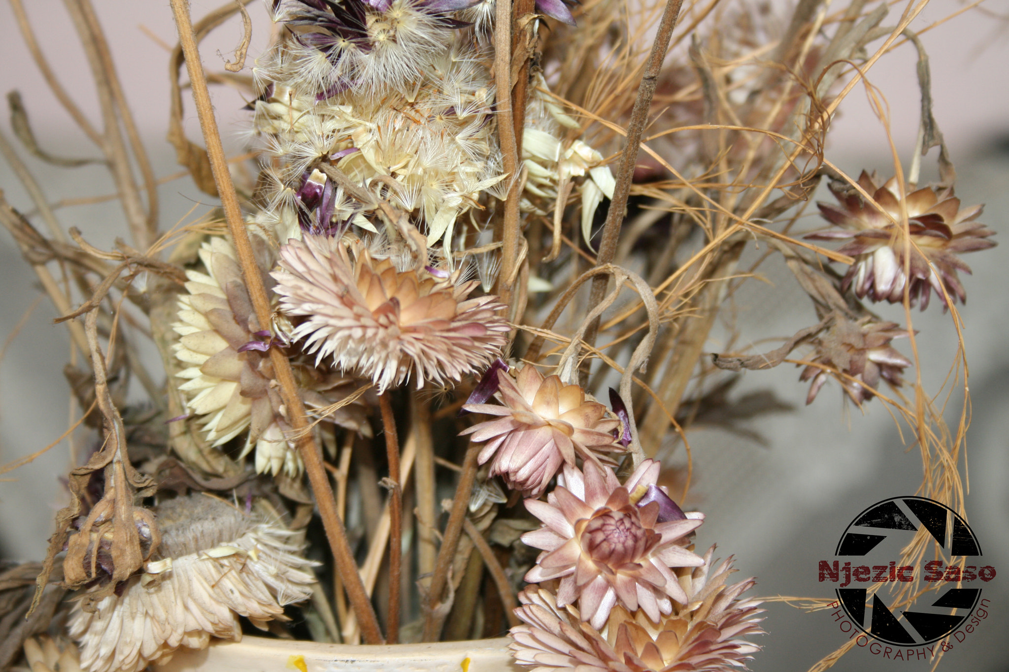 Canon EF-S 18-55mm F3.5-5.6 sample photo. [] photography
