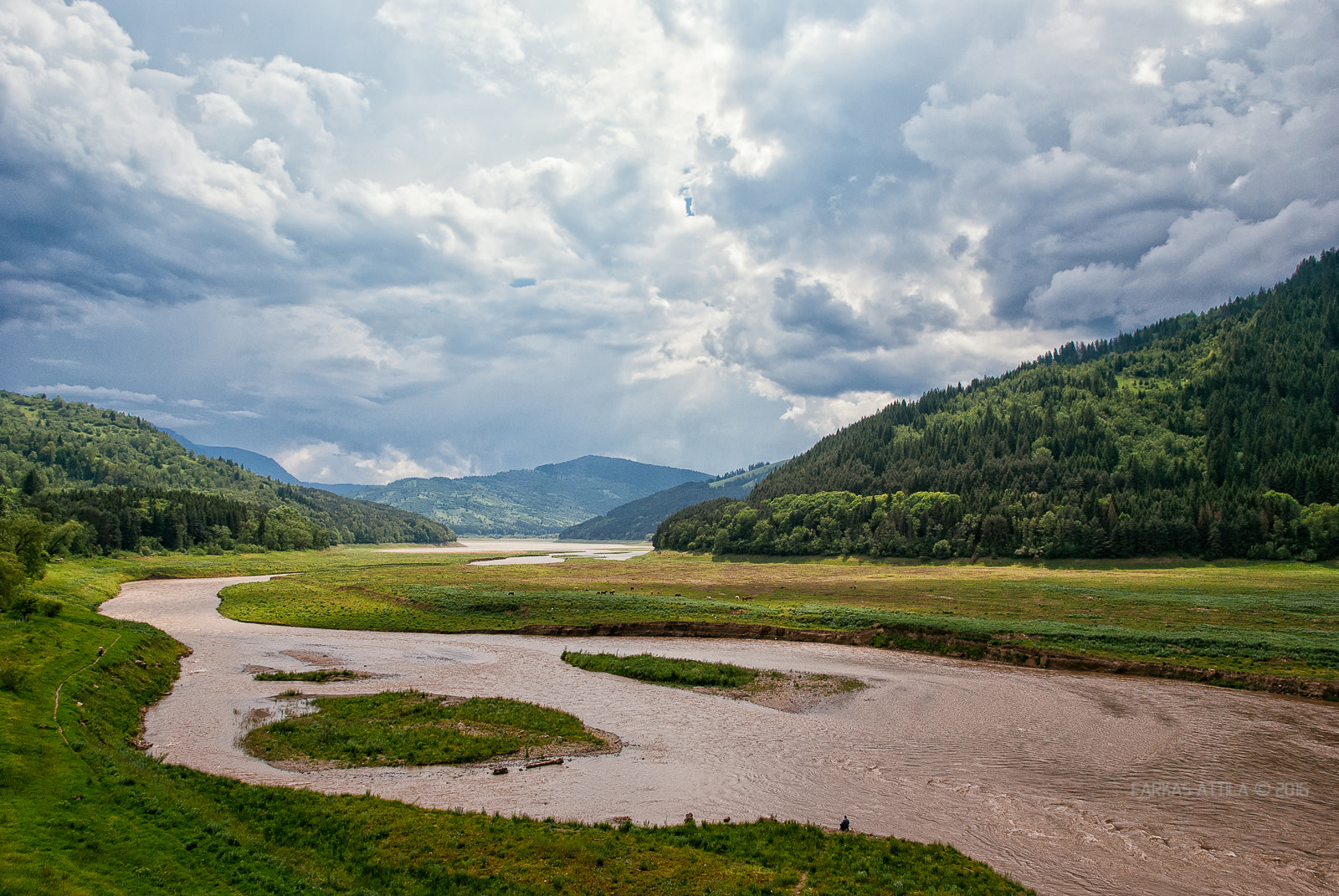Nikon D60 sample photo. Meander... photography
