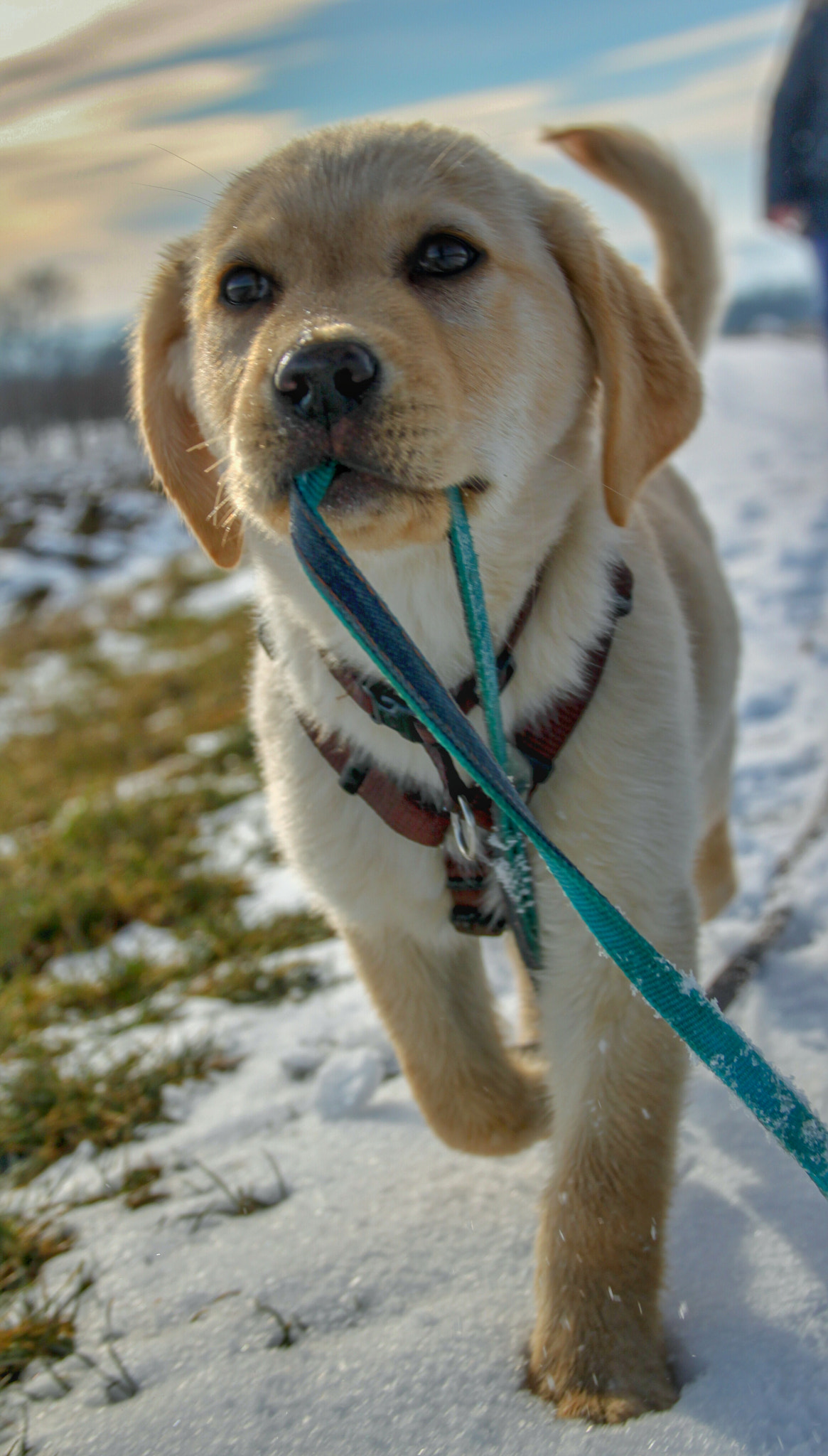 Canon EOS 500D (EOS Rebel T1i / EOS Kiss X3) sample photo. Winter throwback  photography