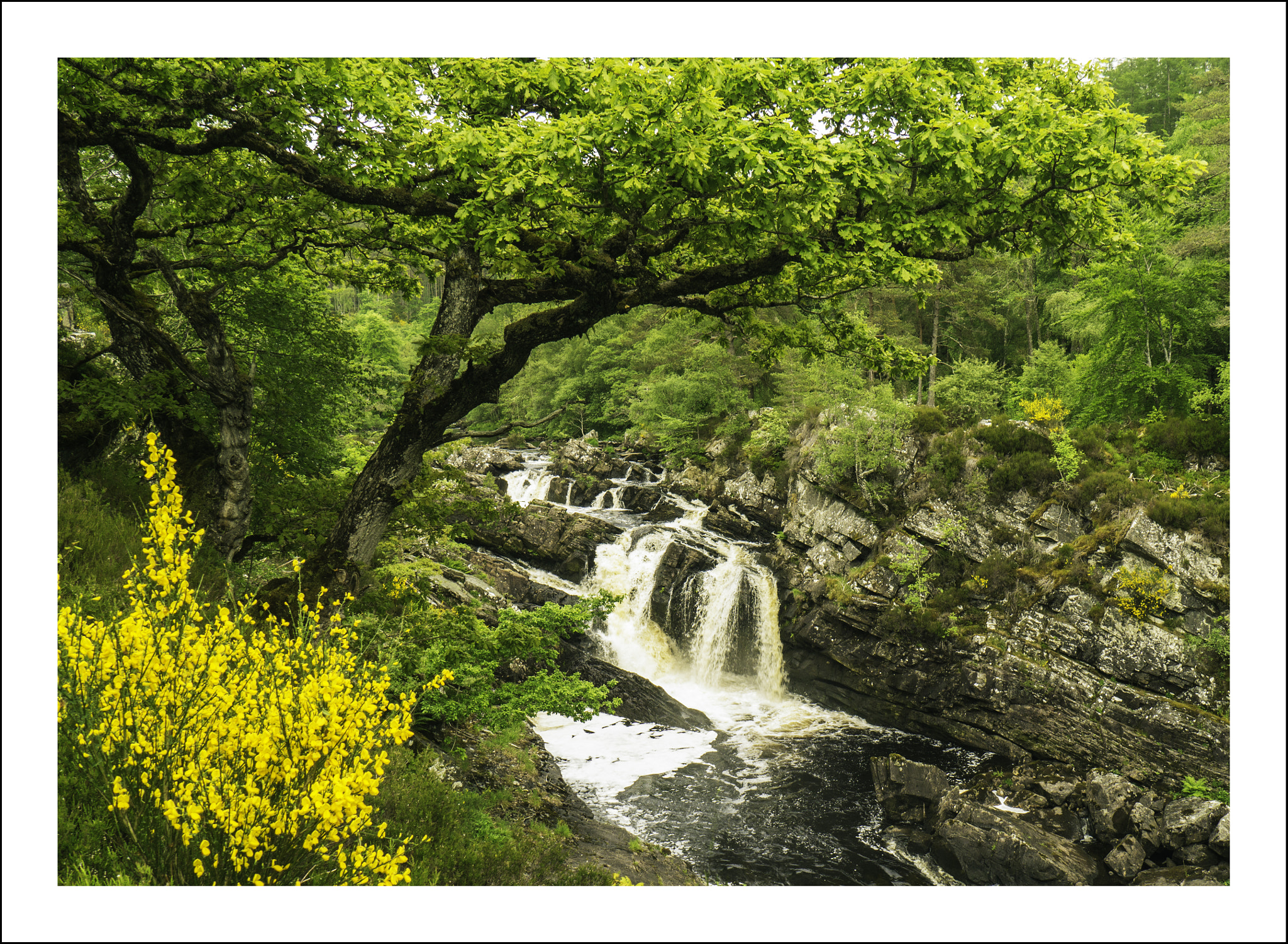 Panasonic Lumix DMC-G3 sample photo. Rogie falls photography