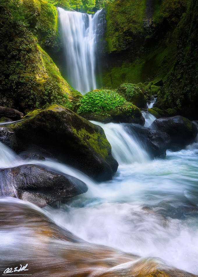 Sony a7R + Canon EF 16-35mm F2.8L II USM sample photo. Spring luminance photography