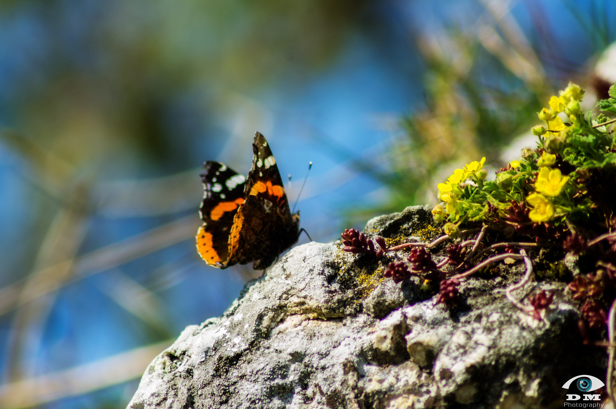 Tamron AF 70-300mm F4-5.6 Di LD Macro sample photo. Details of the world photography
