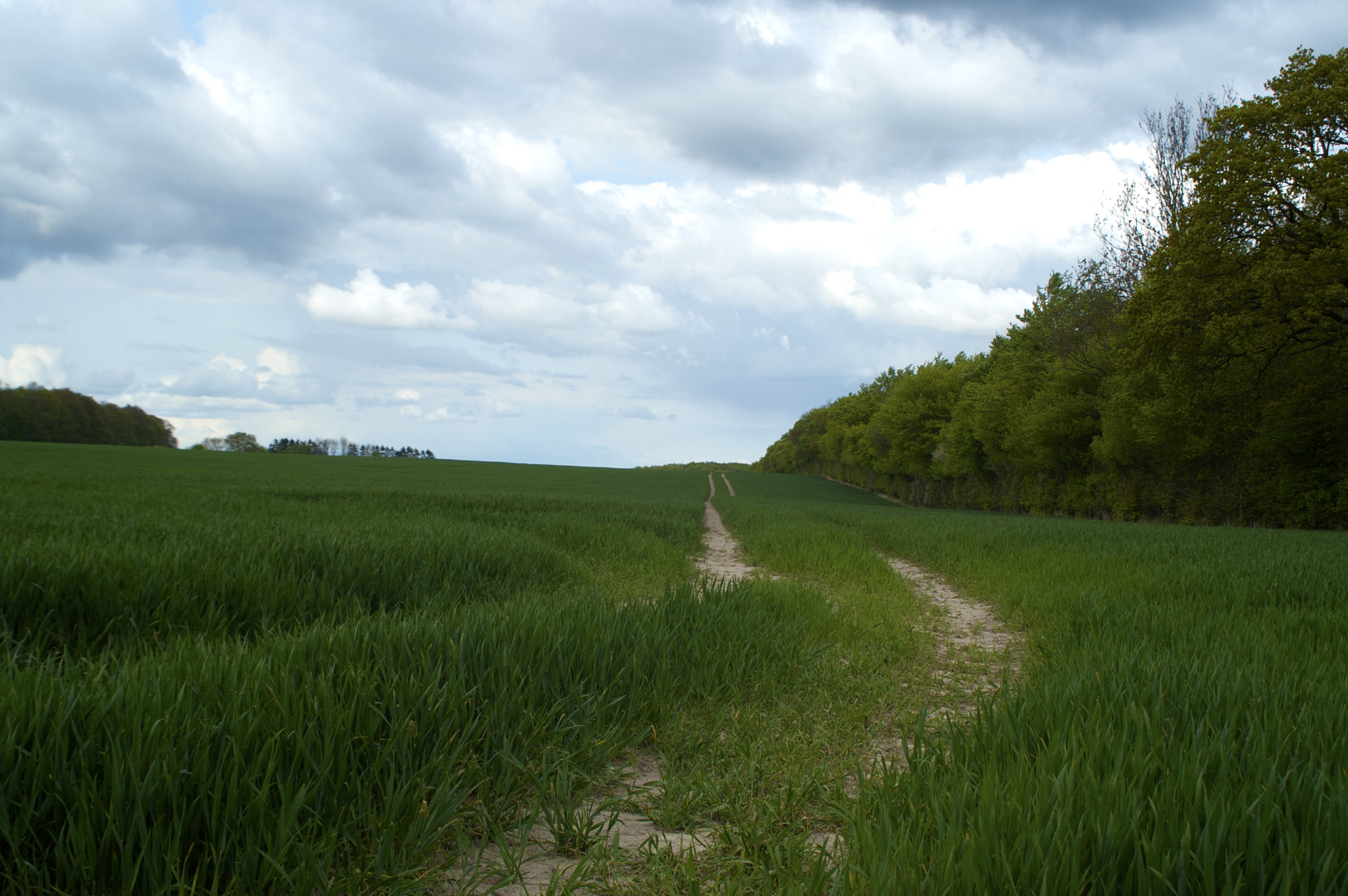 KONICA MINOLTA MAXXUM 5D sample photo. Rural idyll photography