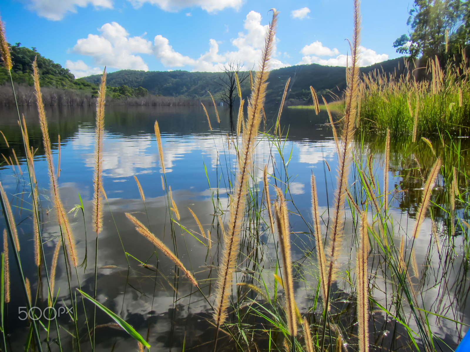 Canon PowerShot D20 sample photo. Hinze dam photography