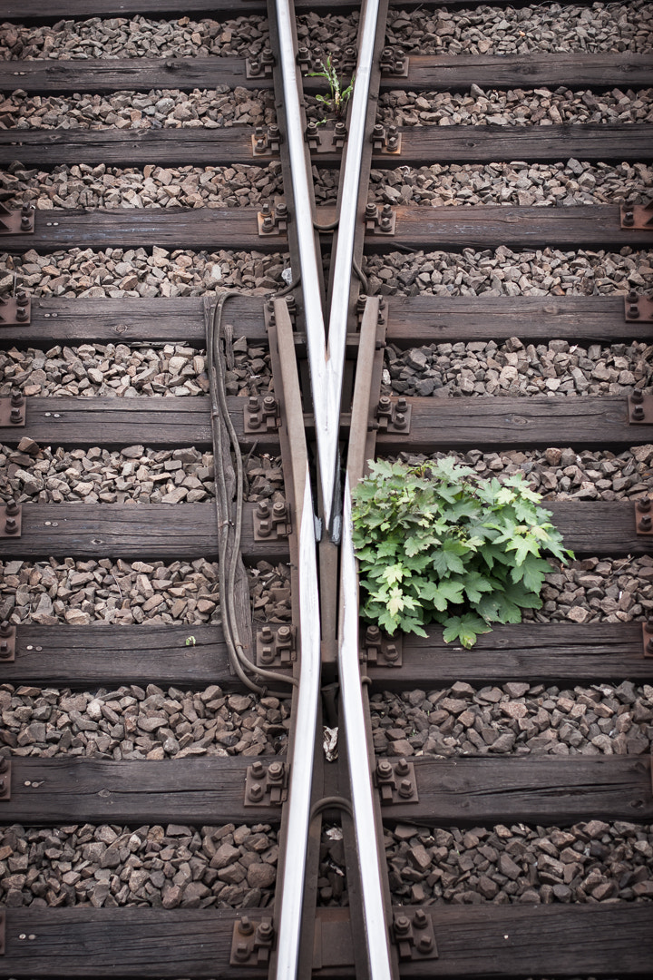 Canon EOS 40D + Canon EF 50mm F1.4 USM sample photo. Railway photography