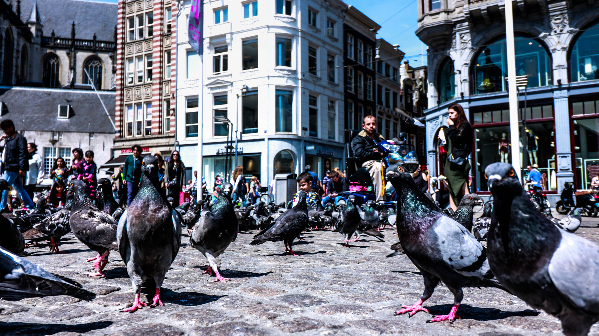 Canon EF-S 10-18mm F4.5–5.6 IS STM sample photo. Amsterdam photography
